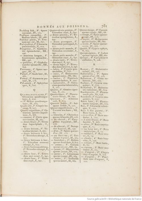 Buffon Hist Nat E.O. Tome P5 f903.jpg
