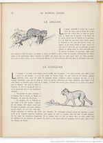 Le Buffon choisi de Benjamin Rabier, page f78.jpg