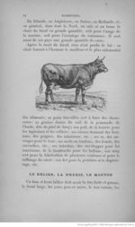 Buffon illustré de la jeunesse - 1893 Gallica page f20.jpg