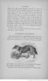 Buffon illustré de la jeunesse - 1893 Gallica page f86.jpg