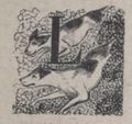 Alphabet Doudet Lion lettrine.jpg