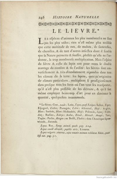 Buffon Hist Nat E.O. Tome 6 f334.jpg