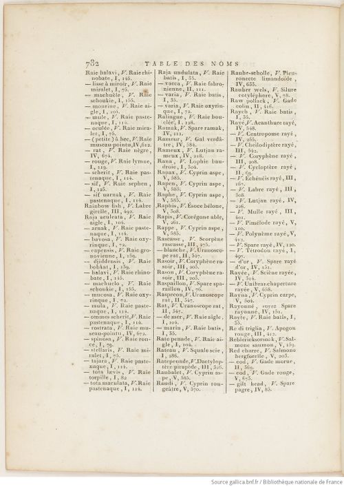 Buffon Hist Nat E.O. Tome P5 f904.jpg