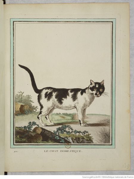 Fichier:Collection Quadrupèdes Buffon 1749 tome 1 f159.jpg