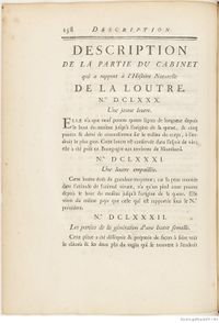 Buffon Hist Nat E.O. Tome 7 f208.jpg