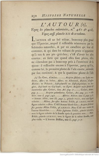 Buffon Hist Nat E.O. Tome 16 f292.jpg