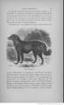 Buffon illustré de la jeunesse - 1893 Gallica page f31.jpg