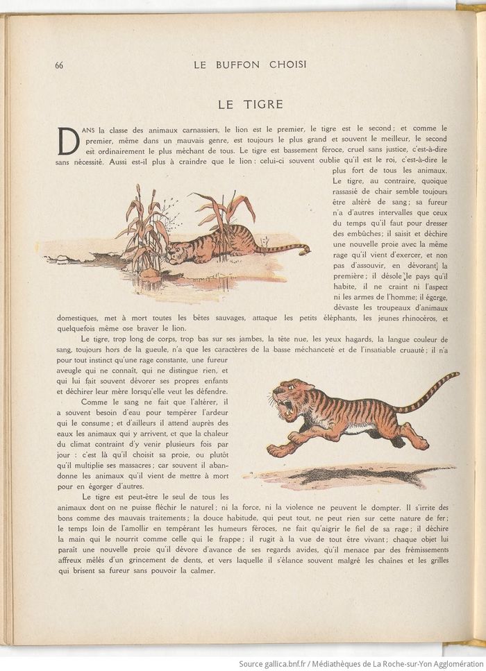 Le Buffon choisi de Benjamin Rabier, page f74.jpg