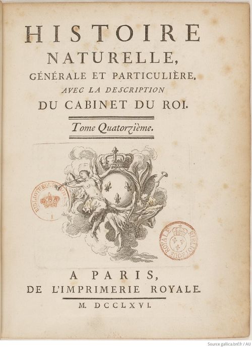 Buffon Hist Nat E.O. Tome 14 f11.jpg