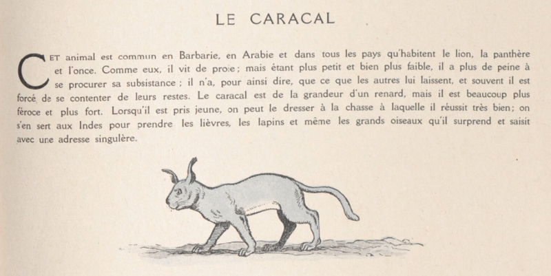 Fichier:Image.png