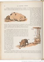 Le Buffon choisi de Benjamin Rabier, page f30.jpg