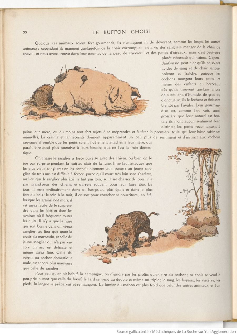 Le Buffon choisi de Benjamin Rabier, page f30.jpg