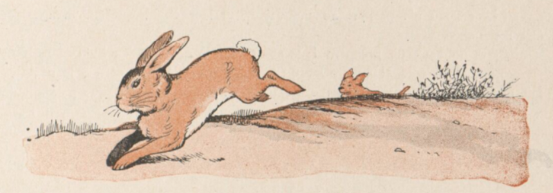 Fichier:Rabier Lapin 1.png
