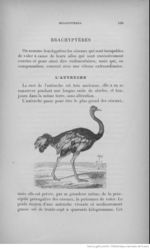 Buffon illustré de la jeunesse - 1893 Gallica page f207.jpg