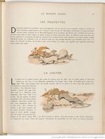 Le Buffon choisi de Benjamin Rabier, page f61.jpg