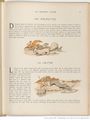 Le Buffon choisi de Benjamin Rabier, page f61.jpg