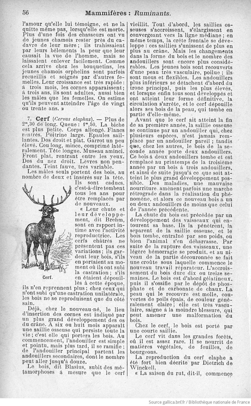 Animaux de nos pays (1909) Coupin, page 63.jpg
