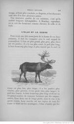 Buffon illustré de la jeunesse - 1893 Gallica page f117.jpg