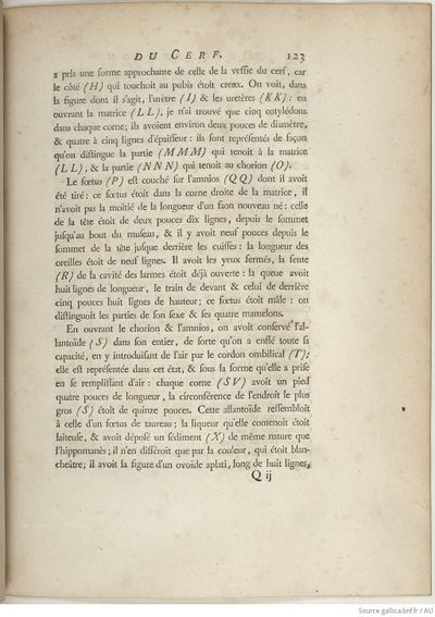 Buffon Hist Nat E.O. Tome 6 f153.jpg