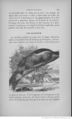 Buffon illustré de la jeunesse - 1893 Gallica page f131.jpg
