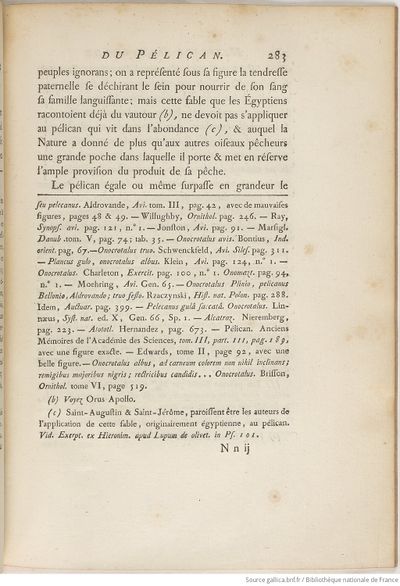 Buffon Hist Nat E.O. Tome 23 f351.jpg
