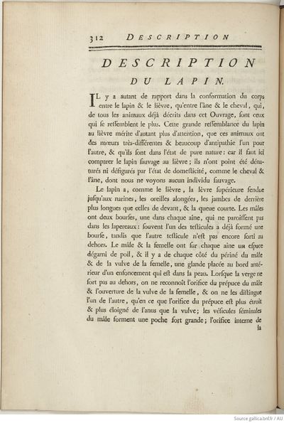 Buffon Hist Nat E.O. Tome 6 f424.jpg