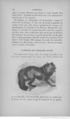 Buffon illustré de la jeunesse - 1893 Gallica page f130.jpg
