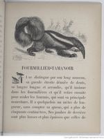 Alphabet illustré des animaux (1862) Doudet f27.jpg