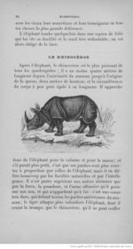 Buffon illustré de la jeunesse - 1893 Gallica page f106.jpg