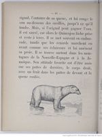 Alphabet illustré des animaux (1862) Doudet f50.jpg