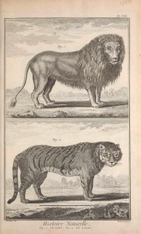 Encyclopédie Diderot Planches Tome V BHL 6 page 49.jpg