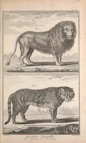 Animaux du même genre.