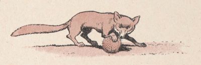 Renard 4 Rabier.jpg