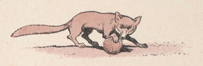 Fichier:Renard 4 Rabier.jpg