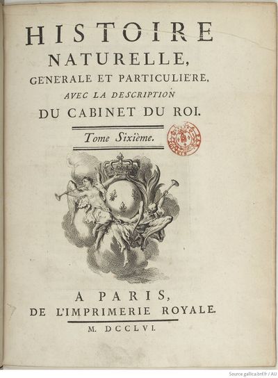 Buffon Hist Nat E.O. Tome 6 f7.jpg