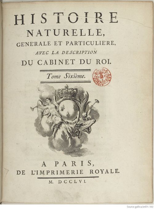 Buffon Hist Nat E.O. Tome 6 f7.jpg