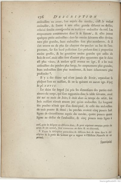 Buffon Hist Nat E.O. Tome 6 f242.jpg