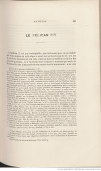 Buffon Lanessan Tome 8 page f167.jpg