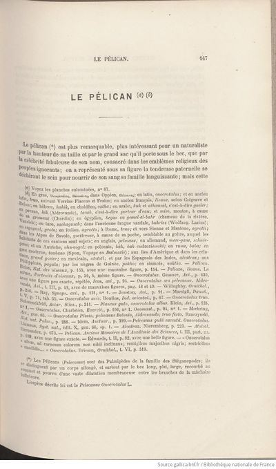 Buffon Lanessan Tome 8 page f167.jpg
