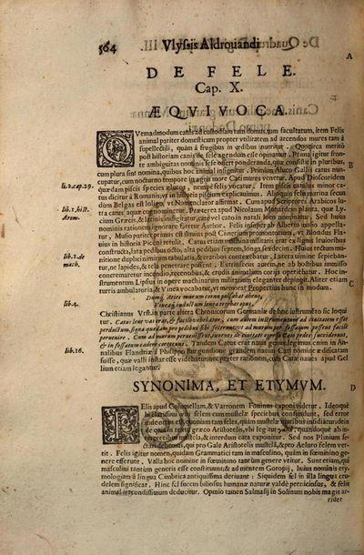 De quadrupedibus digitatis (1649) Aldrovandi IA page 623.jpg