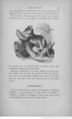 Buffon illustré de la jeunesse - 1893 Gallica page f103.jpg