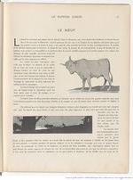 Le Buffon choisi de Benjamin Rabier, page f21.jpg