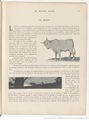 Le Buffon choisi de Benjamin Rabier, page f21.jpg