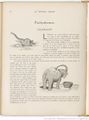 Le Buffon choisi de Benjamin Rabier, page f104.jpg