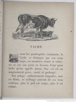 Alphabet illustré des animaux (1862) Doudet f59.jpg