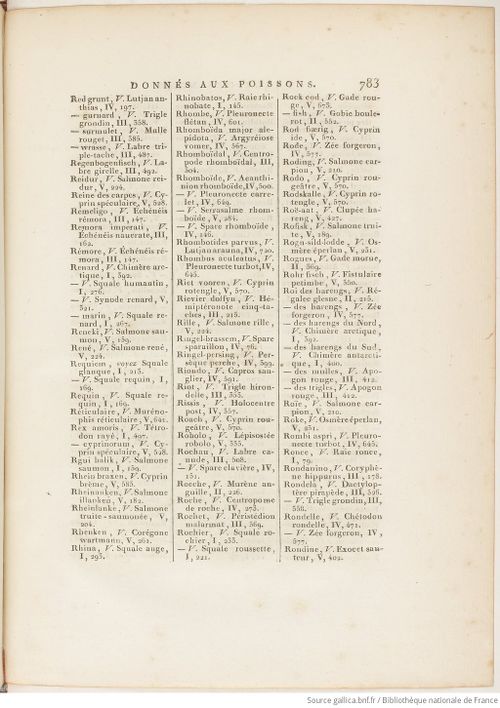 Buffon Hist Nat E.O. Tome P5 f905.jpg