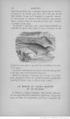 Buffon illustré de la jeunesse - 1893 Gallica page f146.jpg