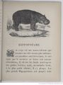 Alphabet illustré des animaux (1862) Doudet f31.jpg