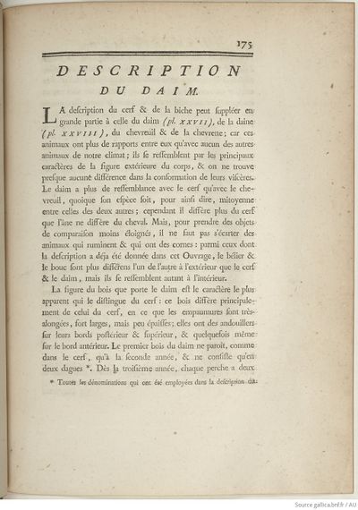 Buffon Hist Nat E.O. Tome 6 f241.jpg