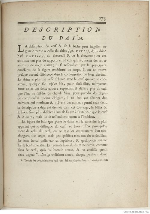 Buffon Hist Nat E.O. Tome 6 f241.jpg